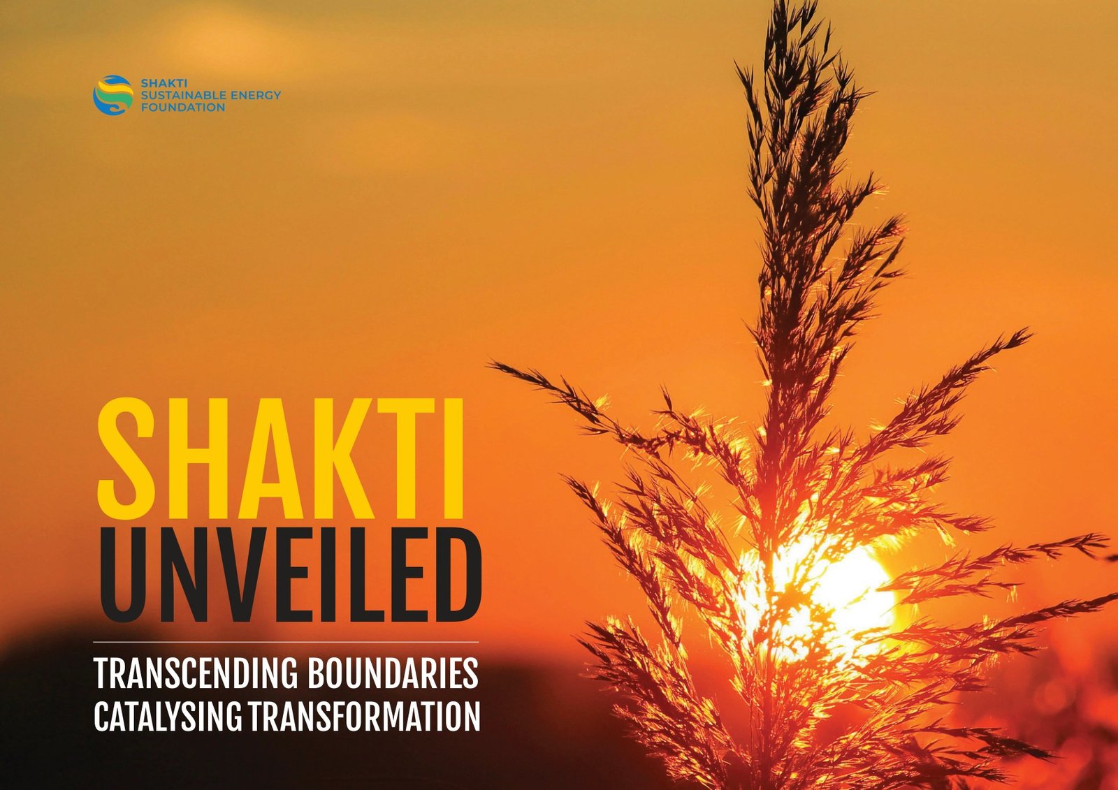 Shakti Unveiled book