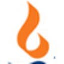 Max India Foundation logo